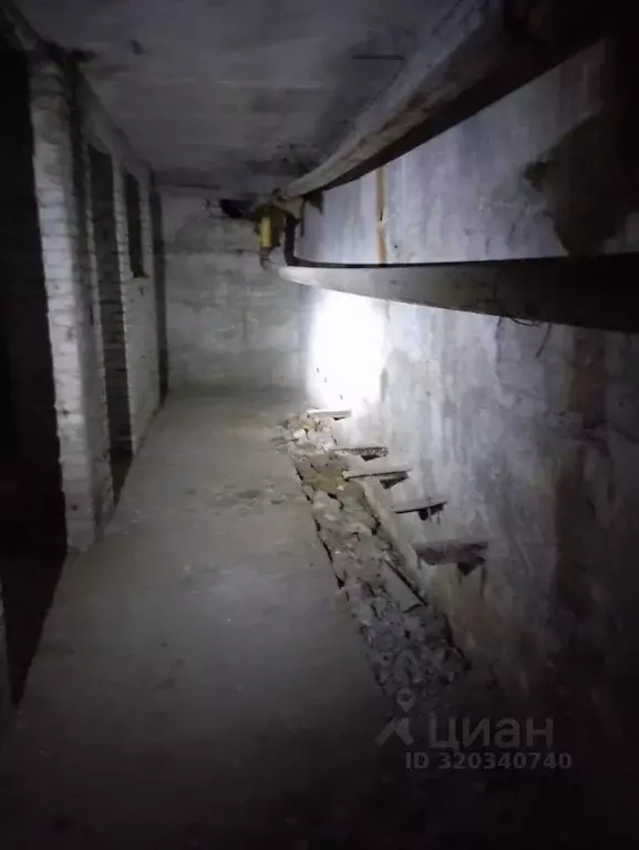 Помещение свободного назначения в Брянская область, Брянск ... - Фото 1