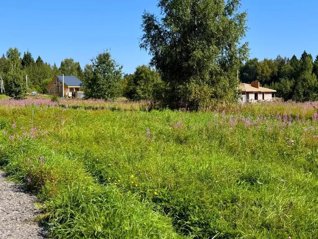 Участок в Московская область, Дмитровский городской округ, Сбоево кп ... - Фото 0