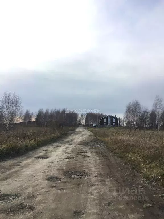 Участок в Кемеровская область, Прокопьевский район, с. Верх-Егос ул. ... - Фото 0