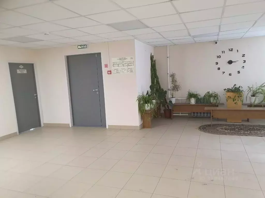 Помещение свободного назначения в Вологодская область, Вологда ул. ... - Фото 0