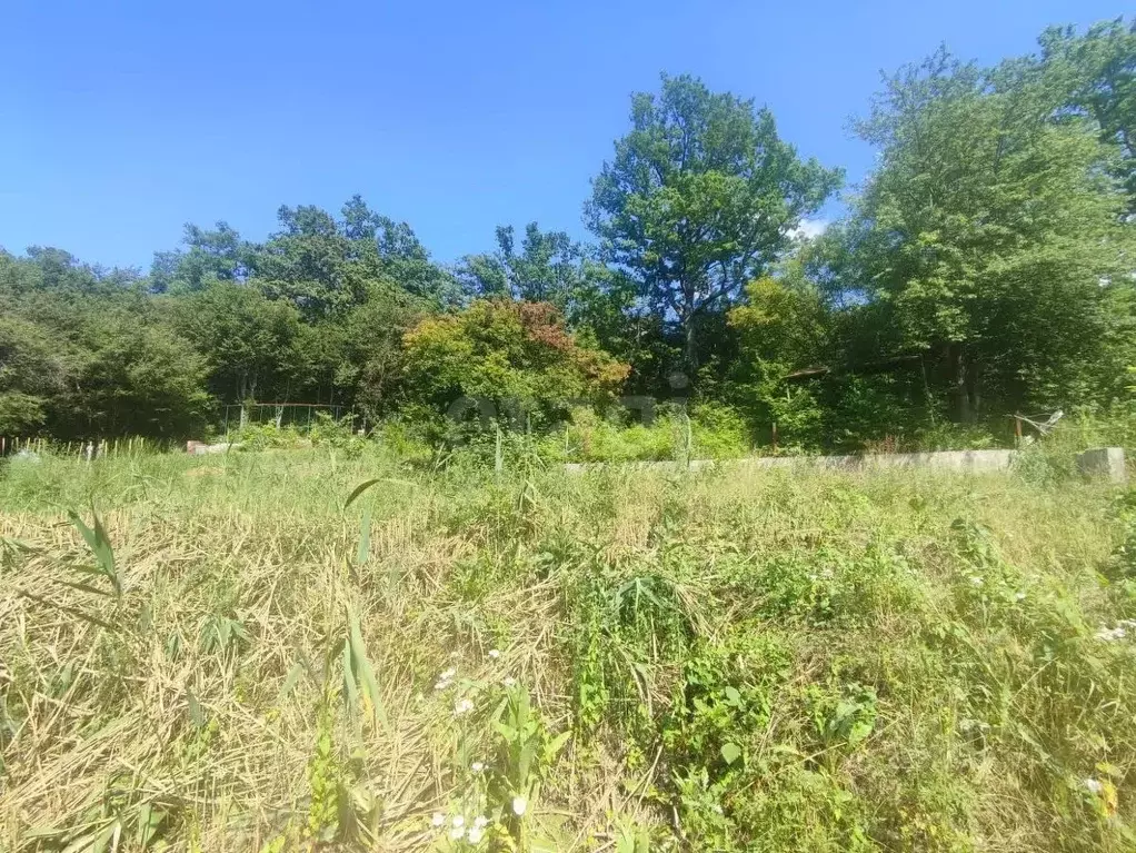 Участок в Краснодарский край, Геленджик городской округ, Широкая Щель ... - Фото 1