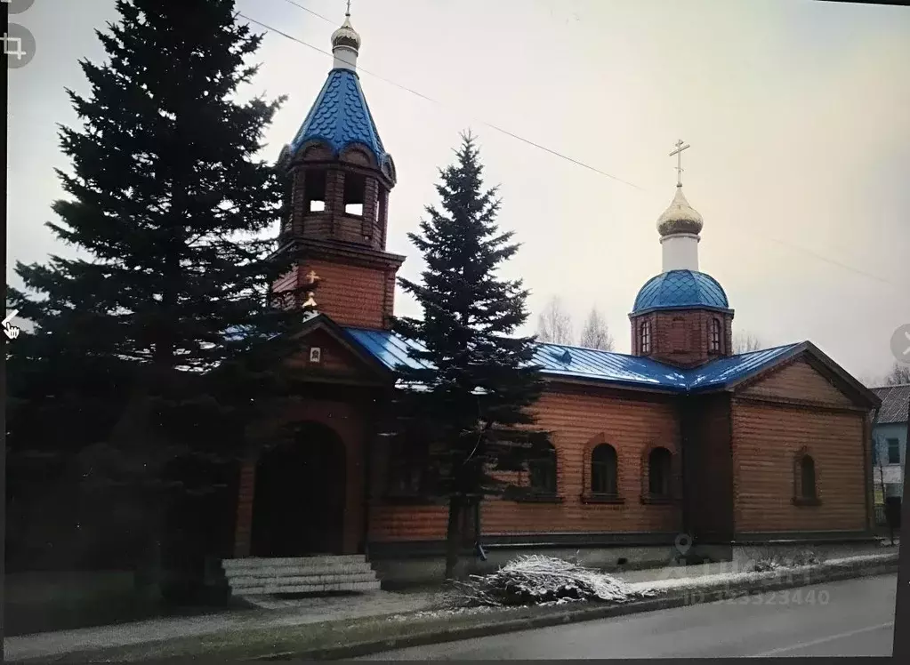 Участок в Псковская область, Струго-Красненский район, д. Пламя  ... - Фото 2