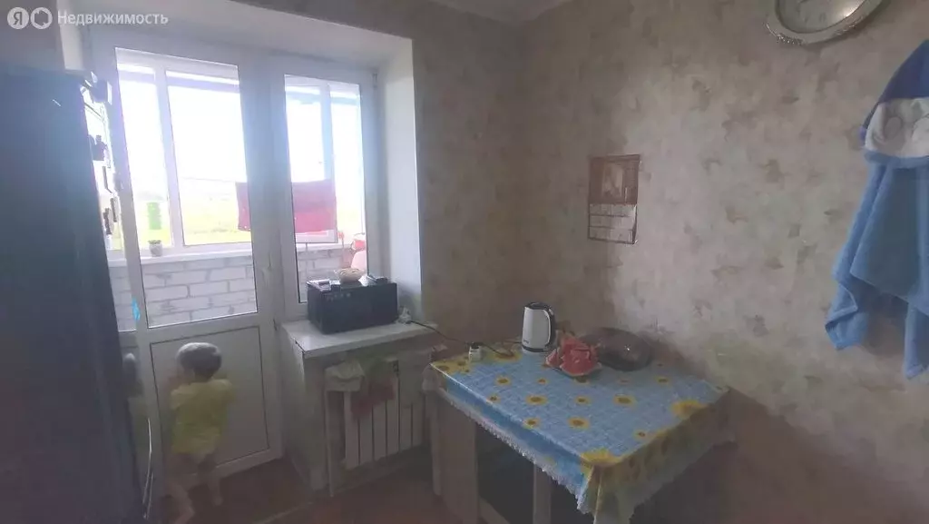 1-комнатная квартира: Дешовки, деревня Дешовки, Полевая улица, 1 (28.5 ... - Фото 0