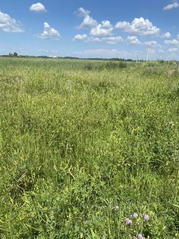 Участок в Новосибирская область, Новосибирский район, Криводановский ... - Фото 2