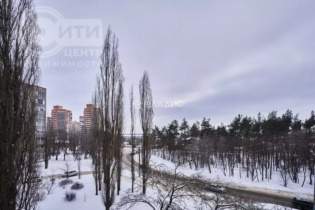 2-к кв. Воронежская область, Воронеж просп. Патриотов, 38 (46.1 м) - Фото 1