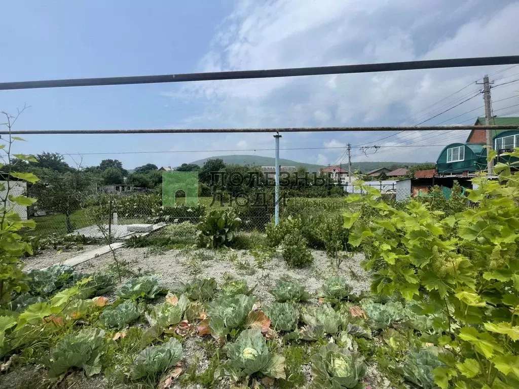 Участок в Краснодарский край, Новороссийск городской округ, с. Южная ... - Фото 1