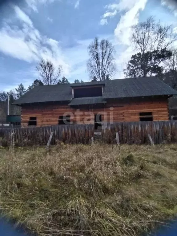 Участок в Алтай, Майминский район, Усть-Мунинское с/пос, пос. Барангол ... - Фото 2