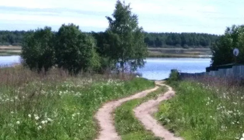 Участок в Вологодская область, Череповецкий район, Строитель садовое ... - Фото 1