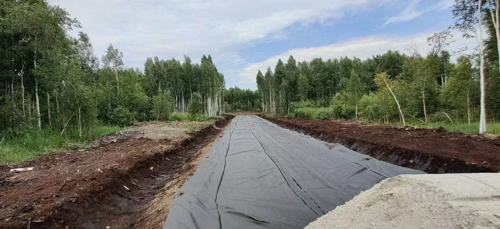 Участок в Тюменская область, Нижнетавдинский район, Строитель ТСН 808 ... - Фото 1