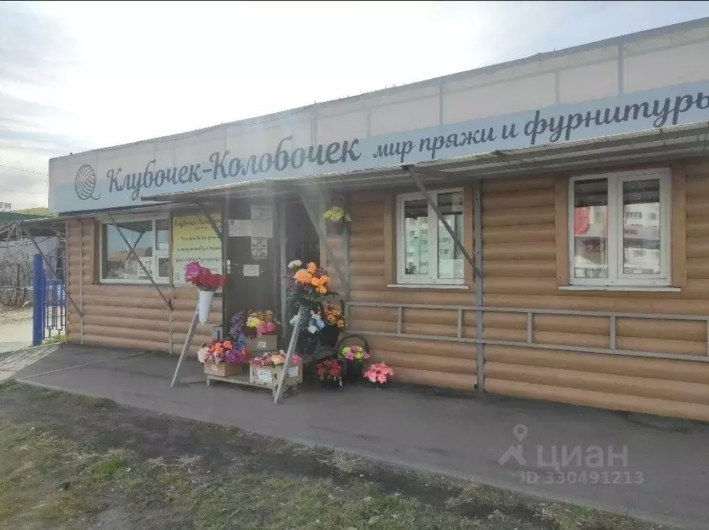 Торговая площадь в Пензенская область, Пенза Центральная ул., 1к4 (33 ... - Фото 1