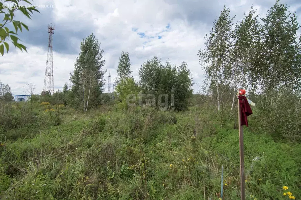 Участок в Искитимский район, село Морозово (19.1 м) - Фото 0