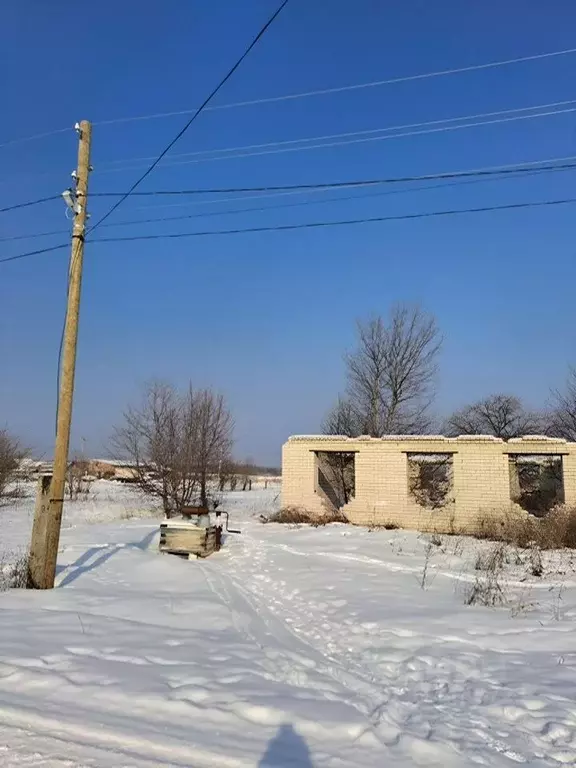 Участок в Марий Эл, Волжский район, Помарское с/пос, д. Березники  ... - Фото 1