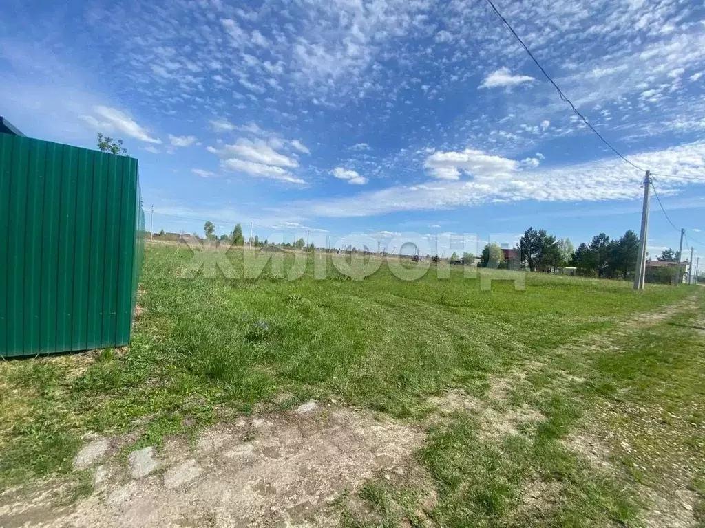 Участок в Новосибирская область, Коченевский район, Озерки-1 СНТ  ... - Фото 2