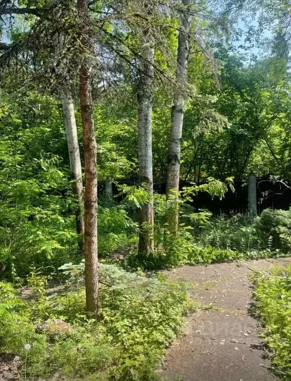 Участок в Московская область, Одинцовский городской округ, д. Жуковка, ... - Фото 2
