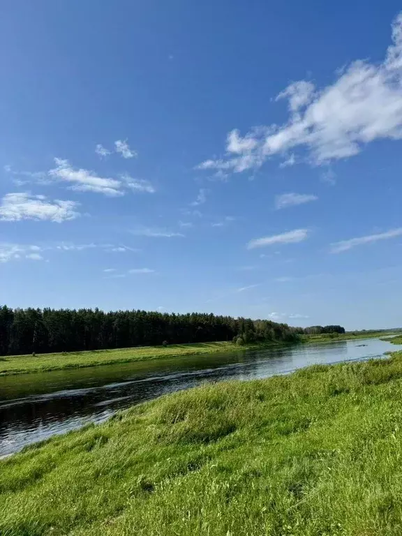 Участок в Тверская область, Старицкий муниципальный округ, д. Улитино  ... - Фото 1
