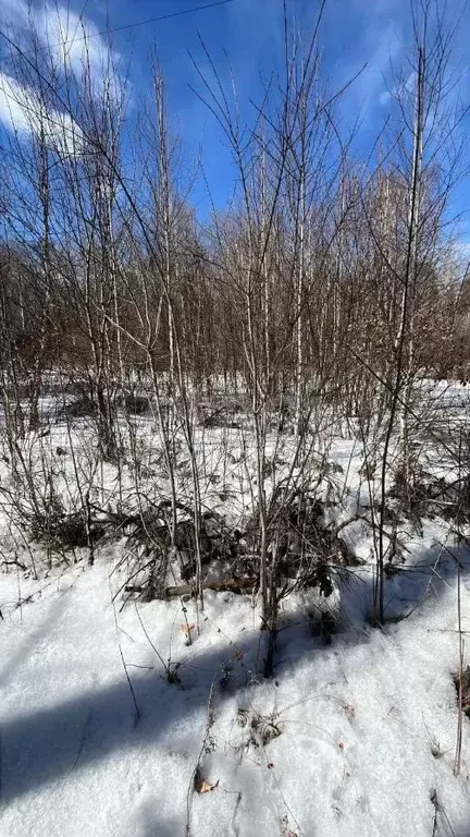 Участок в Амурская область, Благовещенский район, Солнечный СТ  (13.9 ... - Фото 1
