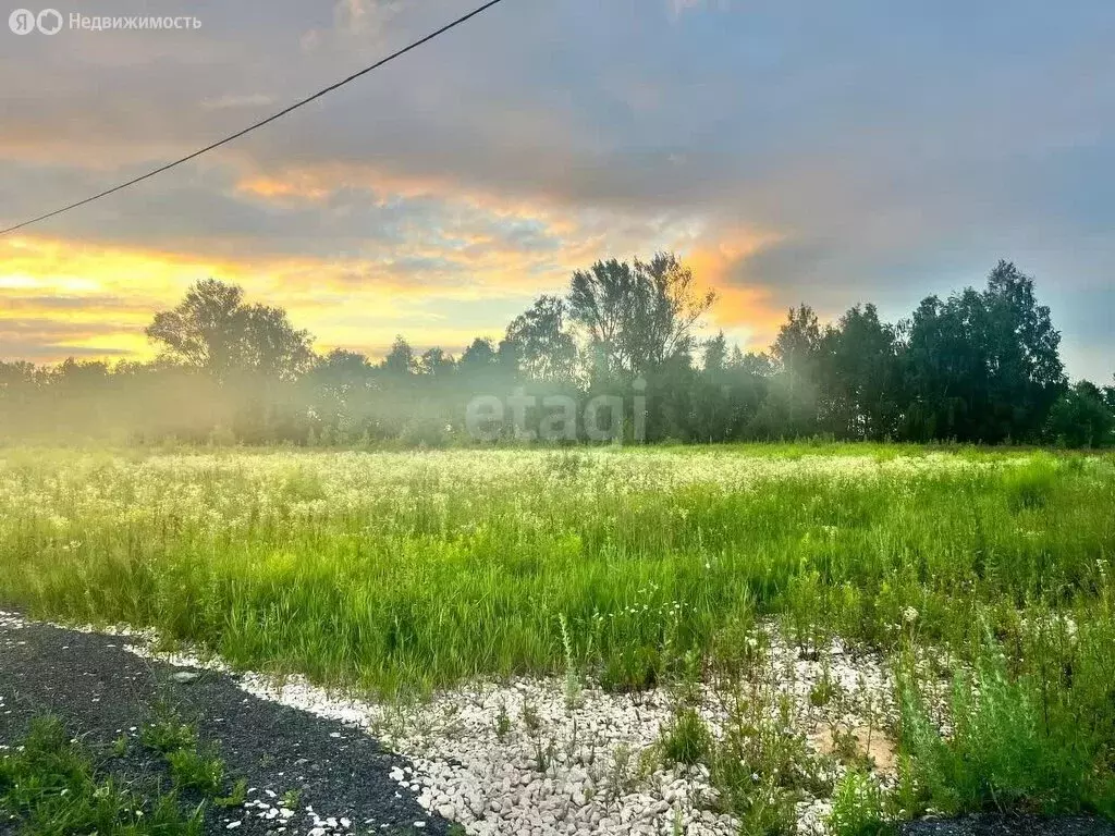 Участок в Нижегородская область, Кстовский муниципальный округ, ... - Фото 0