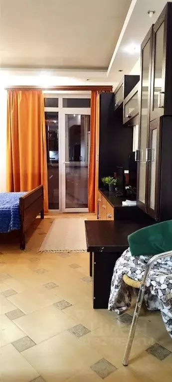 1-к кв. Краснодарский край, Сочи Светлана мкр, ул. Лысая Гора (30.0 м) - Фото 2