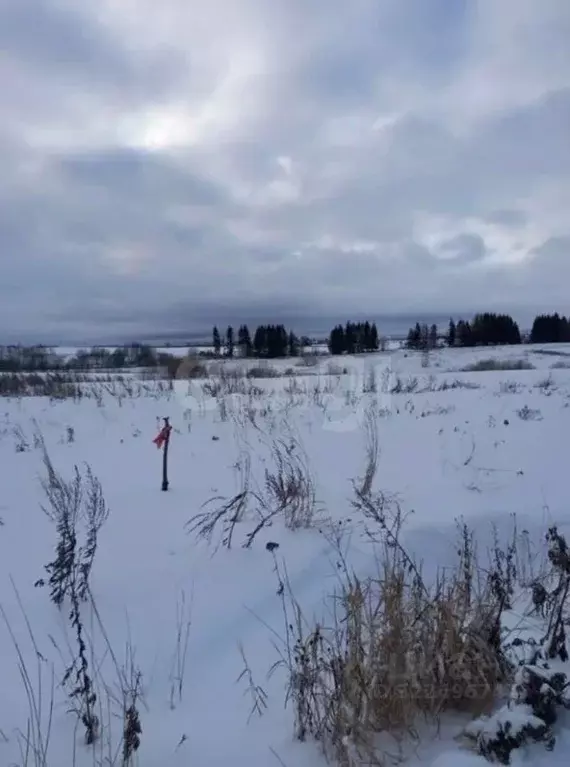 Участок в Вологодская область, д. Морино, д. Настасьино  (10.0 сот.) - Фото 2