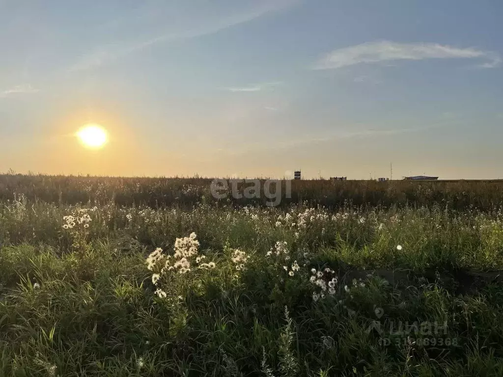 Участок в Мордовия, Саранск городской округ, с. Куликовка  (10.0 сот.) - Фото 0