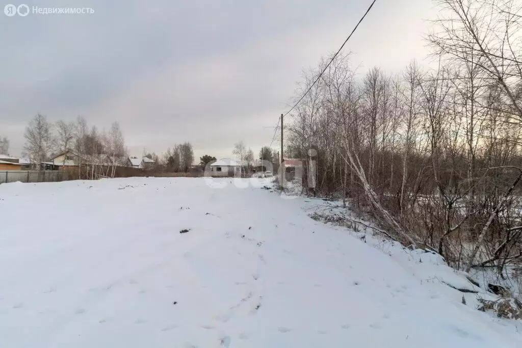Участок в Тюмень, территория СОСН Берёзка-3, 11-я улица (9 м) - Фото 2