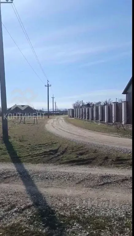 Участок в Крым, Черноморский район, Медведевское с/пос, с. Медведево ... - Фото 1