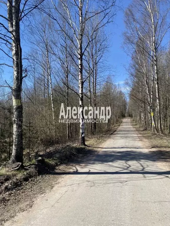 Участок в Ленинградская область, Выборг ул. Безмятежная (13.1 сот.) - Фото 1