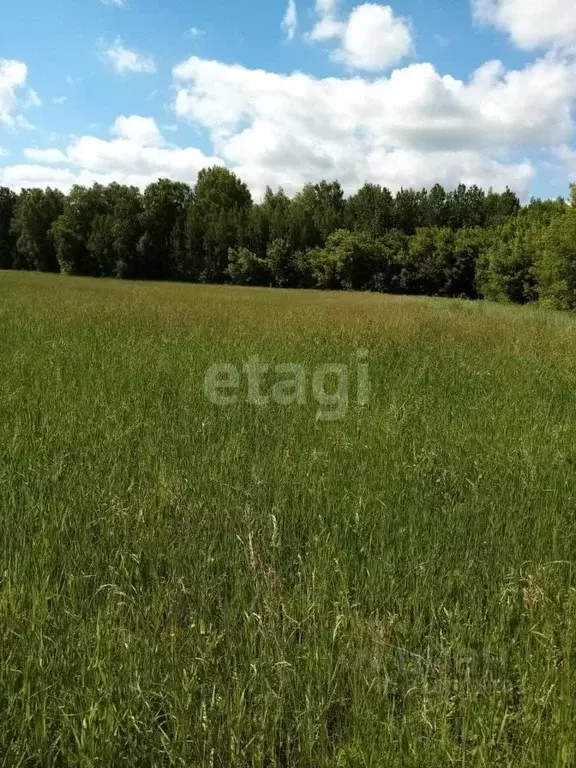 Участок в Башкортостан, Давлекановский район, Рассветовский сельсовет, ... - Фото 0