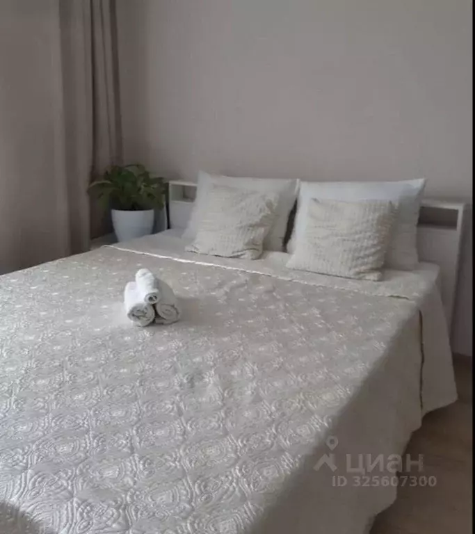 Студия Кировская область, Киров ул. Современная, 2 (33.0 м) - Фото 2