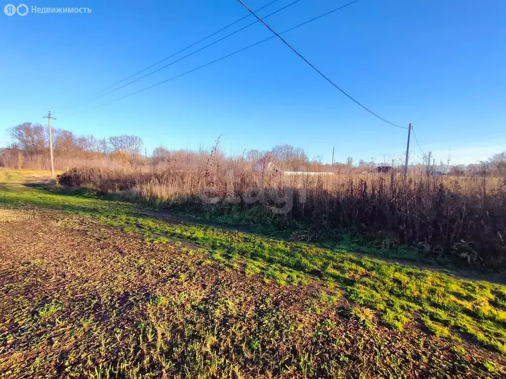 Участок в Республика Марий Эл, городской округ Йошкар-Ола, деревня ... - Фото 2