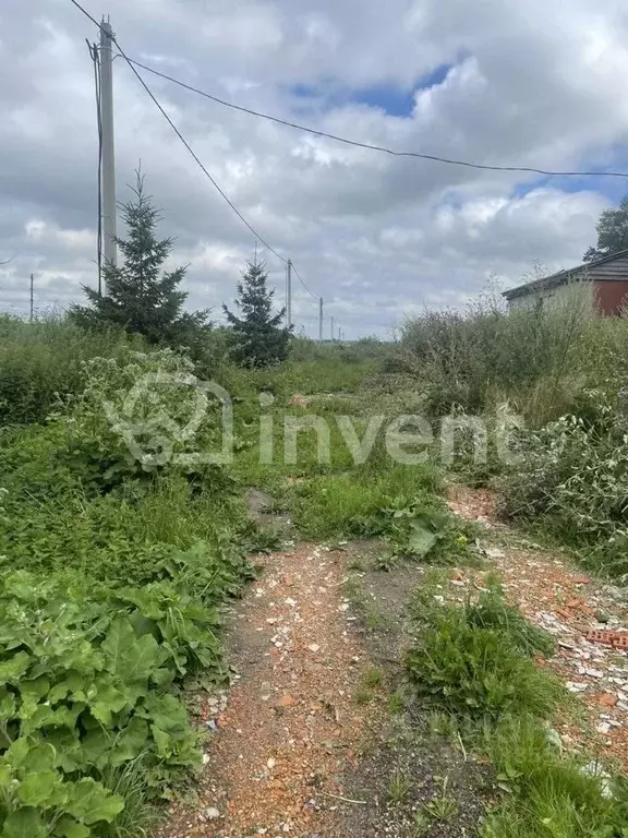 Участок в Калининградская область, Багратионовский муниципальный ... - Фото 0