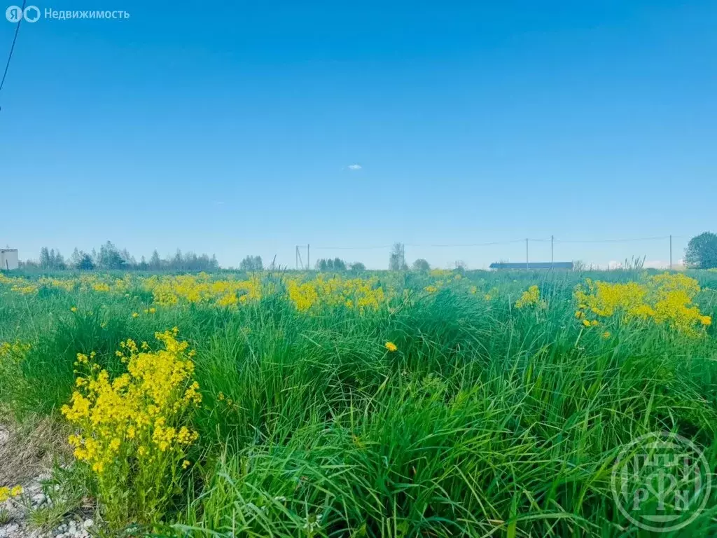 Участок в Заклинское сельское поселение, деревня Слапи (15.5 м) - Фото 1