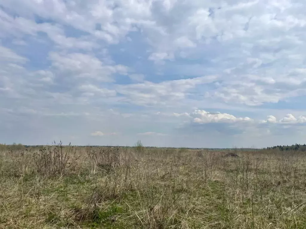 Участок в Московская область, Одинцовский городской округ, Горбуново ... - Фото 2