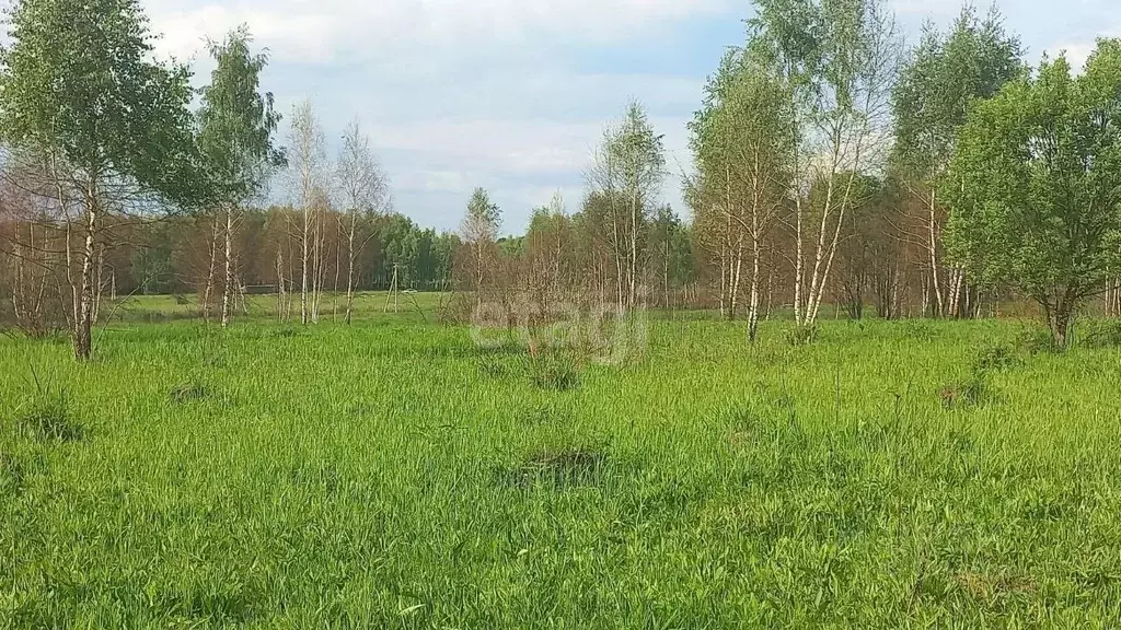 Участок в Тульская область, Ясногорский район, Теляковское ... - Фото 1