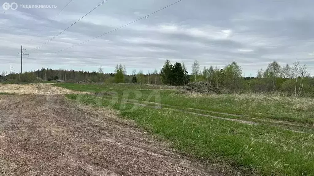 Участок в Свердловская область, Тугулымский муниципальный округ, ... - Фото 0