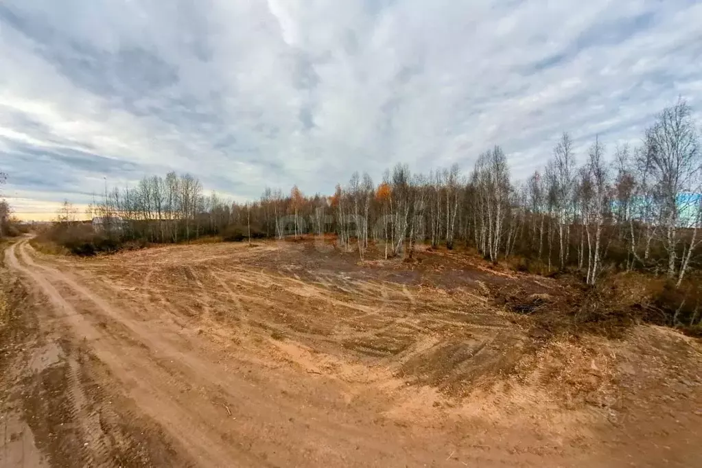 Участок в Тюменская область, Тюменский район, с. Борки  (13.0 сот.) - Фото 1