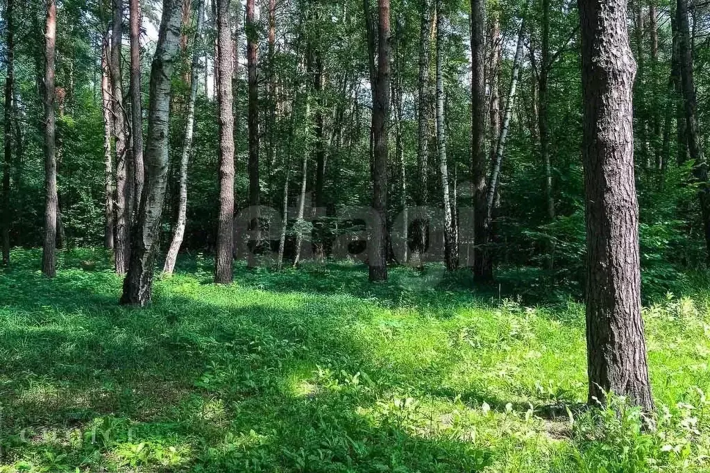 Участок в Московская область, Одинцовский городской округ, д. Шульгино ... - Фото 1