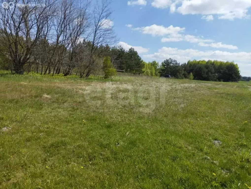 Участок в Курганская область, Кетовский муниципальный округ, СНТ ... - Фото 2