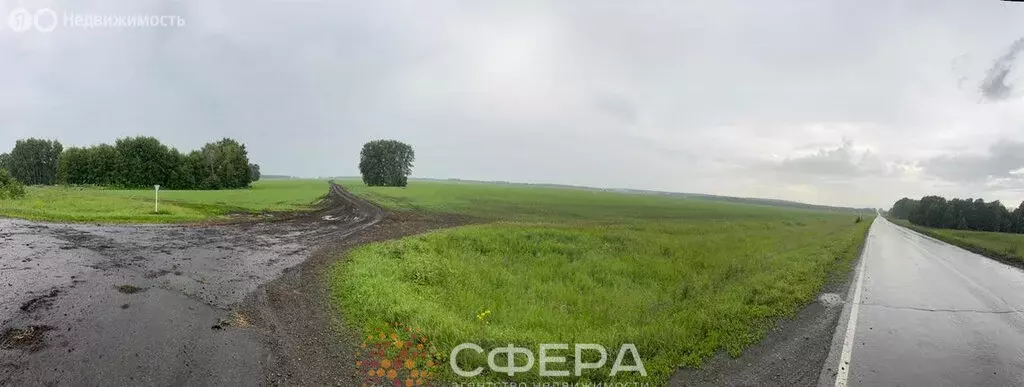 Участок в Тогучинский район, посёлок Гремячинский, Молодёжная улица ... - Фото 1