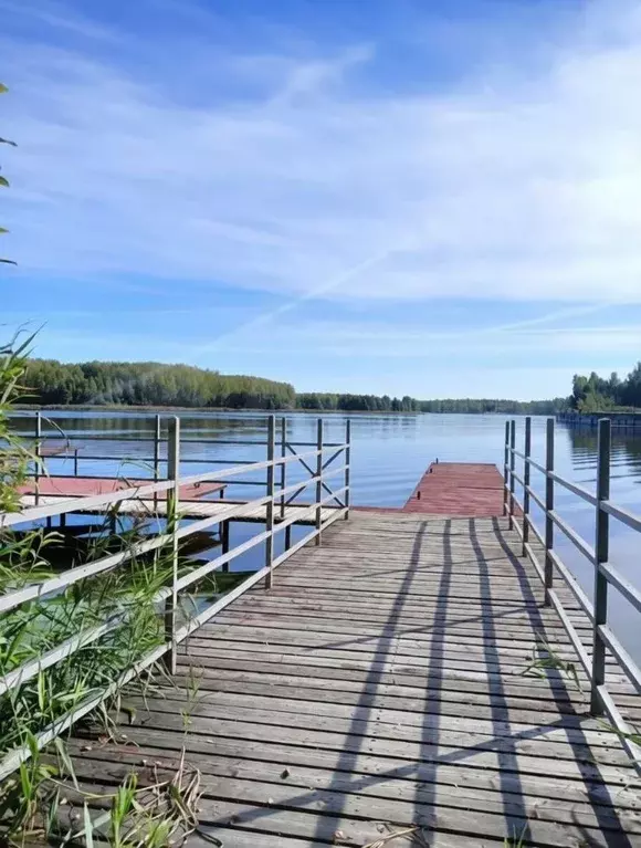 Участок в Нижегородская область, Сокольский муниципальный округ, д. ... - Фото 1