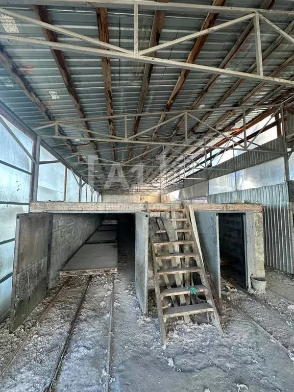 Производственное помещение в Челябинская область, Красноармейский ... - Фото 2