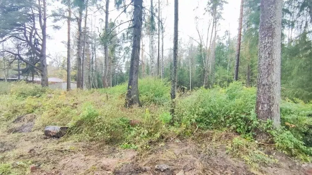 Участок в Новгородская область, Новгородский район, Савинское с/пос, ... - Фото 2