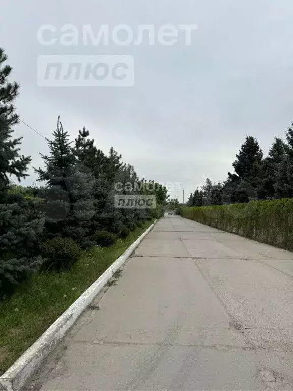 Участок 12 сот. (ИЖС) - Фото 1
