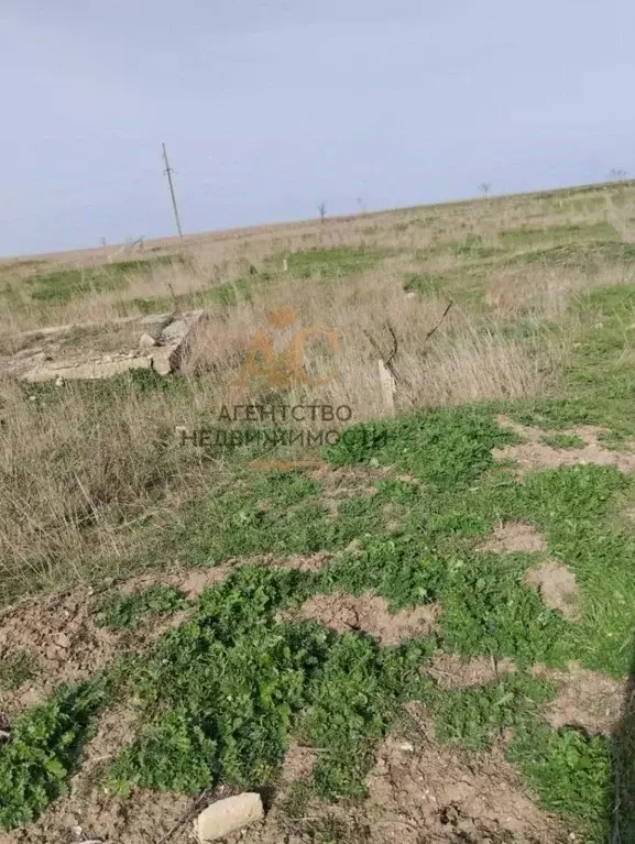 Участок в Крым, Ленинский район, Батальненское с/пос, Нептун СНТ  (6.0 ... - Фото 2