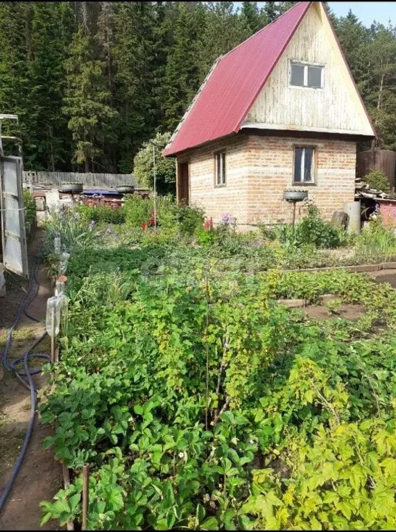 Снт буммашевец-2. Снт березка 111 км медвежонок на садовых участках. Садоводство калинка. Дачи в промышленном районе. Дачи в промышленном районе.