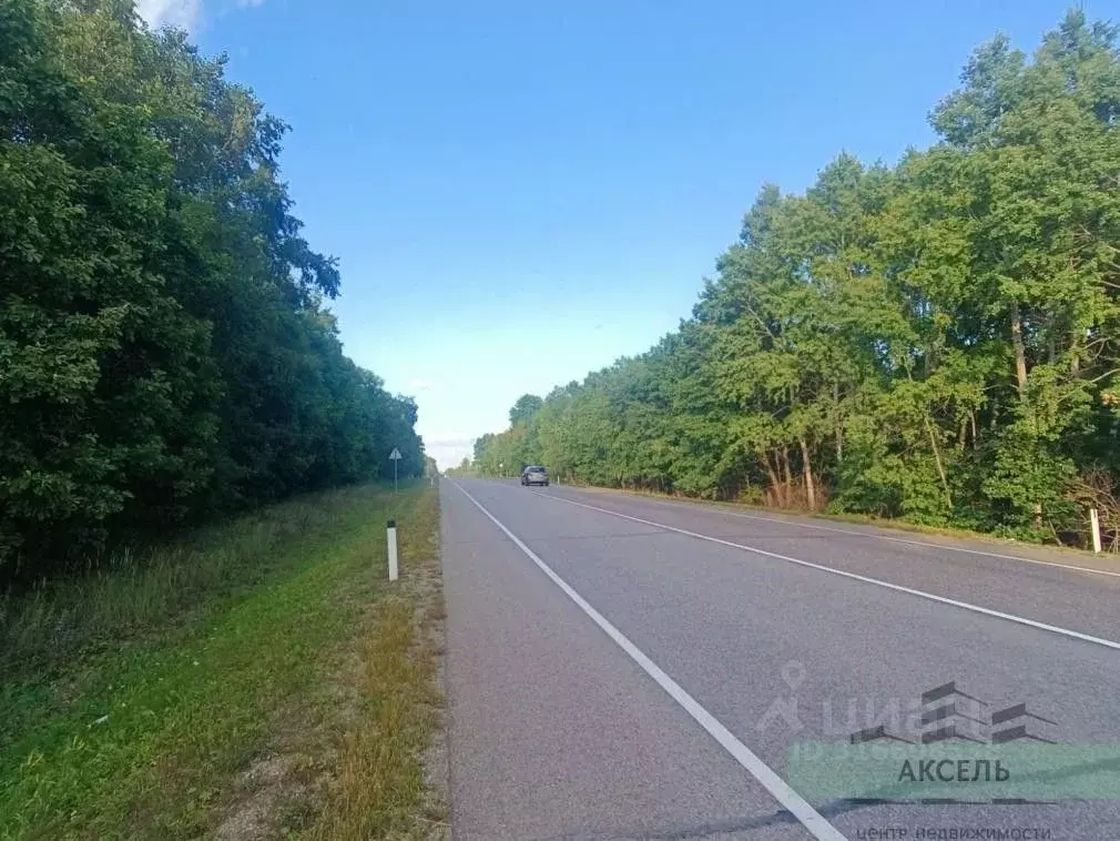 Участок в Амурская область, Свободненский район, с. Нижние Бузули  ... - Фото 1