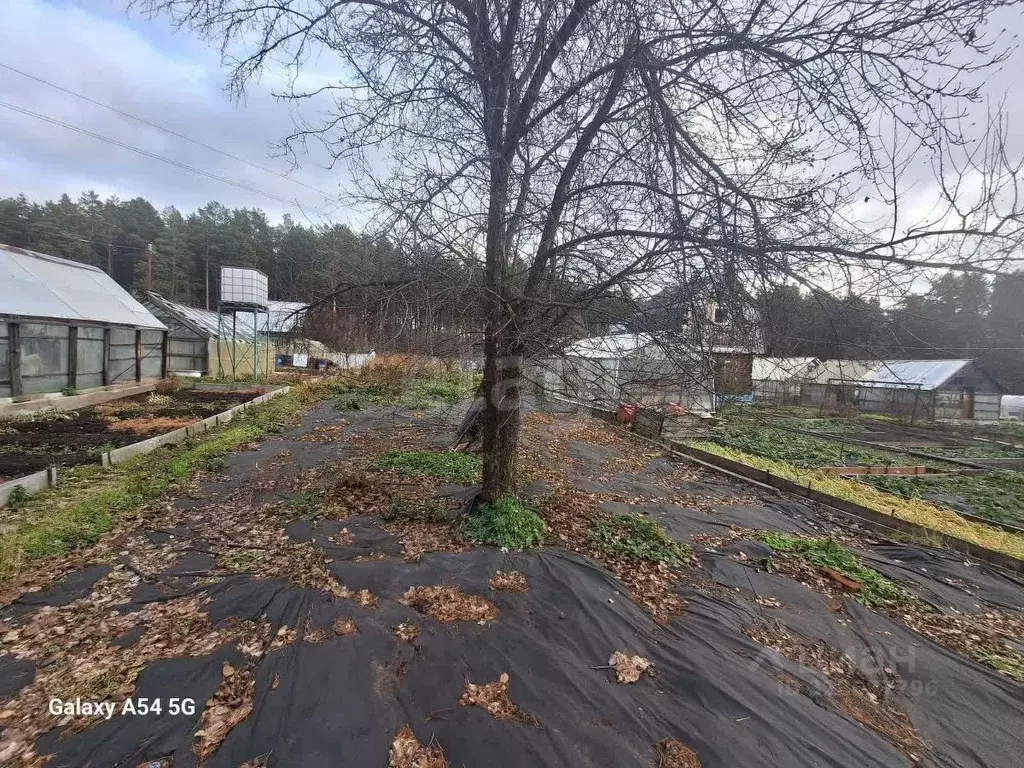 Участок в Свердловская область, Первоуральск № 10 КС,  (9.0 сот.) - Фото 1