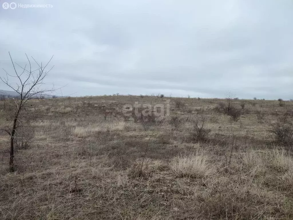 Участок в посёлок городского типа Зуя, Радостная улица (10.3 м) - Фото 0