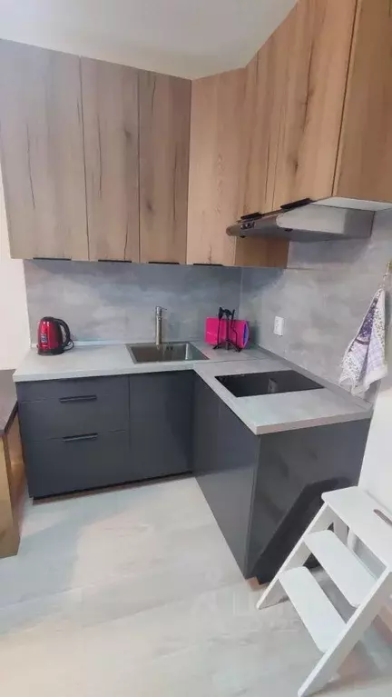 Студия Свердловская область, Екатеринбург ул. Зеленый Остров, 14/2 ... - Фото 1