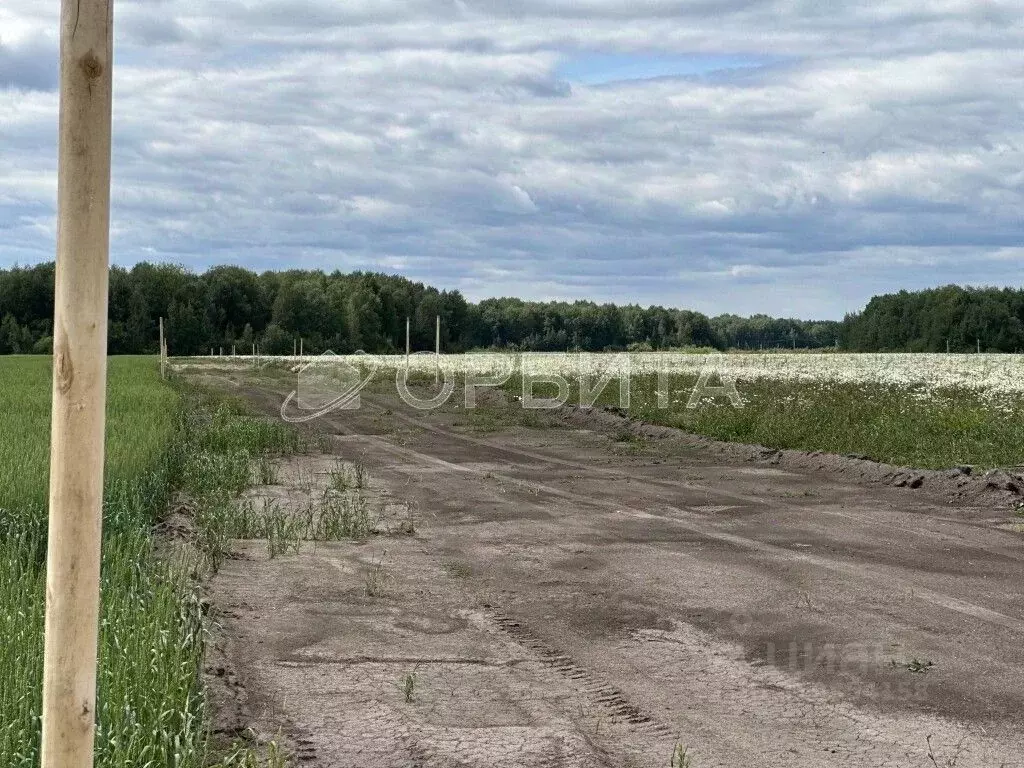 Участок в Тюменская область, Тюменский район, с. Горьковка Сибирская ... - Фото 1